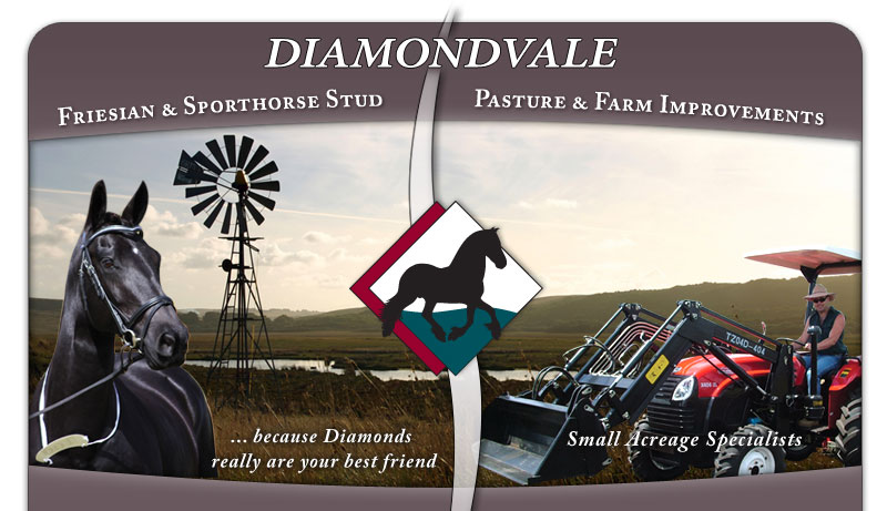 Diamondvale Friesian Stud and Farm Improvements